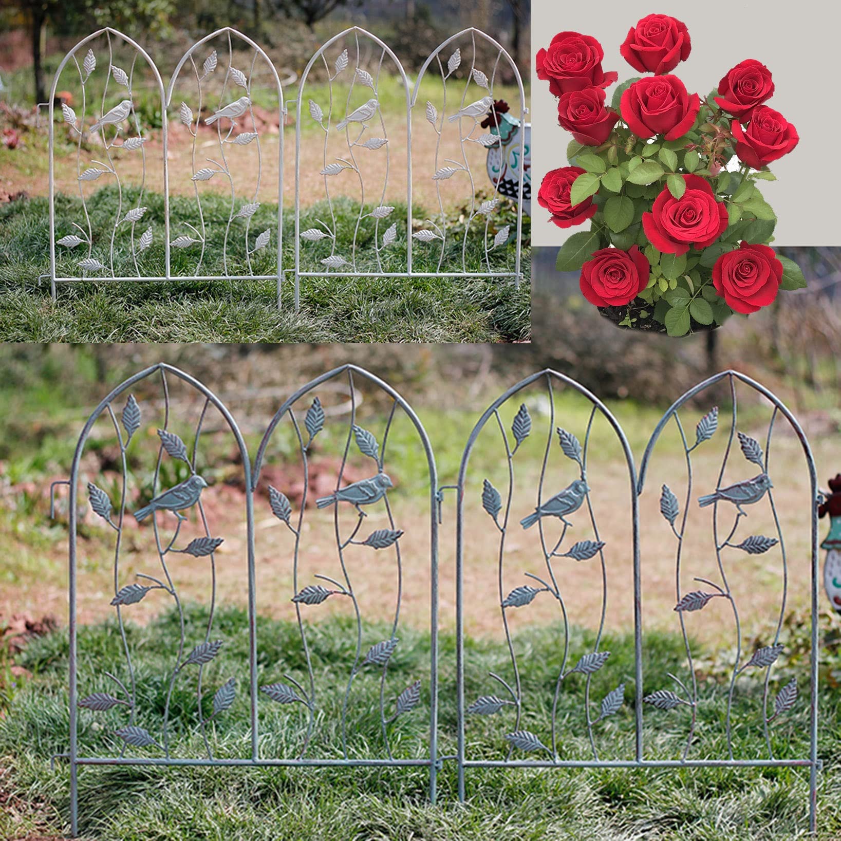 Klimplanten hekwerk: welk type is geschikt