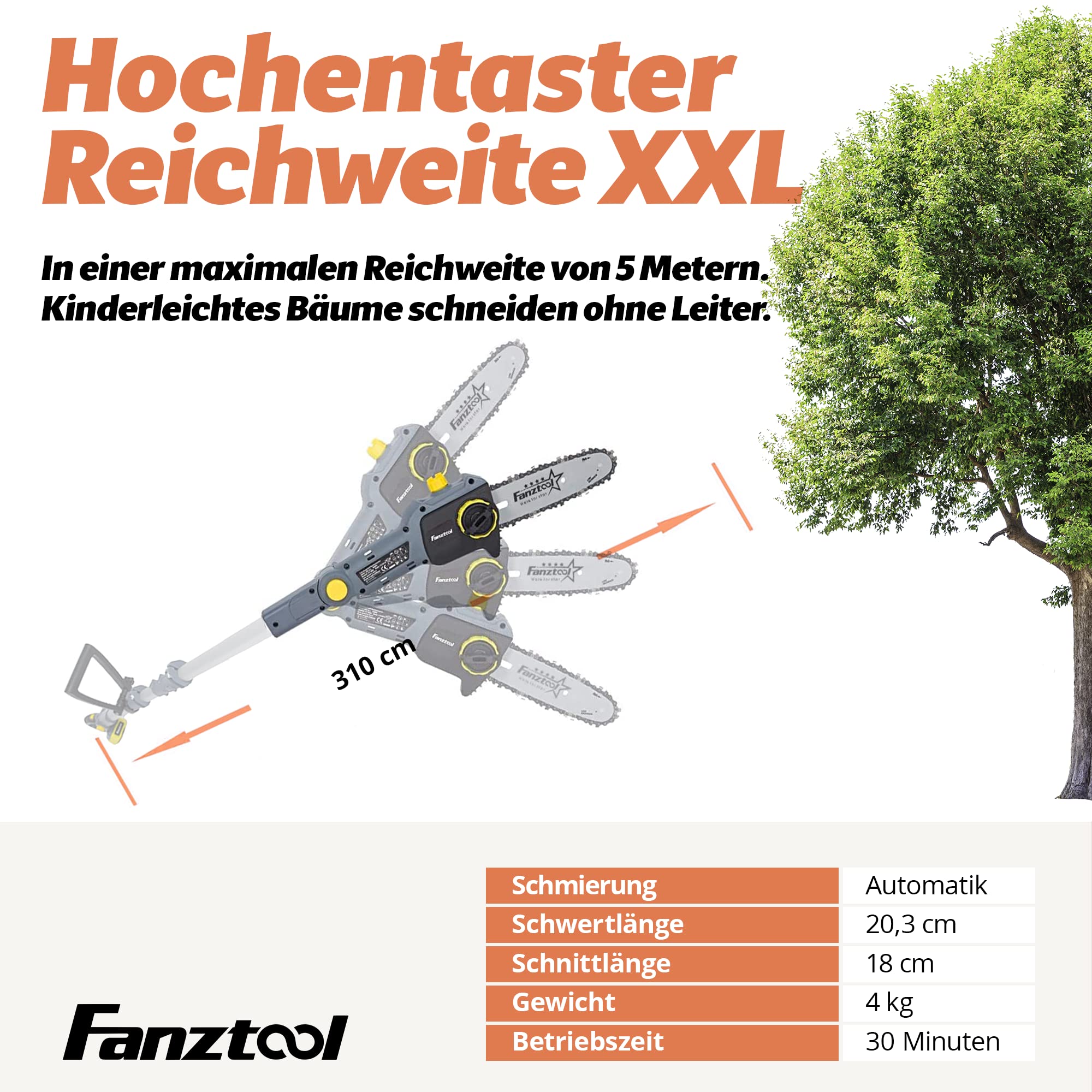 FANZTOOL 20V Li-Ion Akku-Hochentaster mit 2,5Ah Akku/Ladegerät, Höhe bis 5 m, 17 cm Schnittstärke, Schwertlänge 20 cm, leichtes Gewicht 4 kg