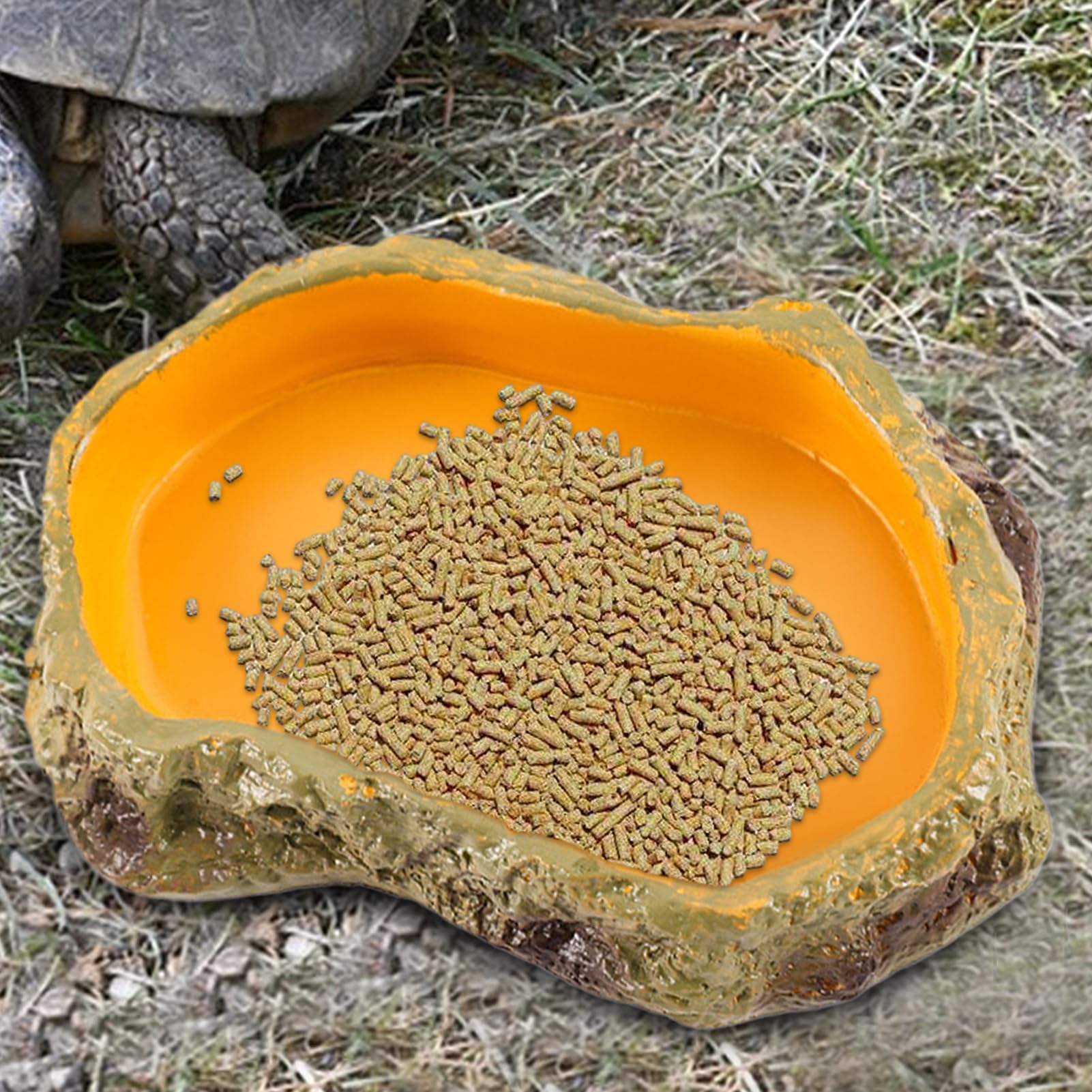 Rettili Mangiatoia Sicura Multifunzione Per Piccoli Animali | Vasca Reptile Ciotole, Vasca E Vassoio Per Drago Barbuto, , Tartaruga, Rana E Vasca Tartarughe