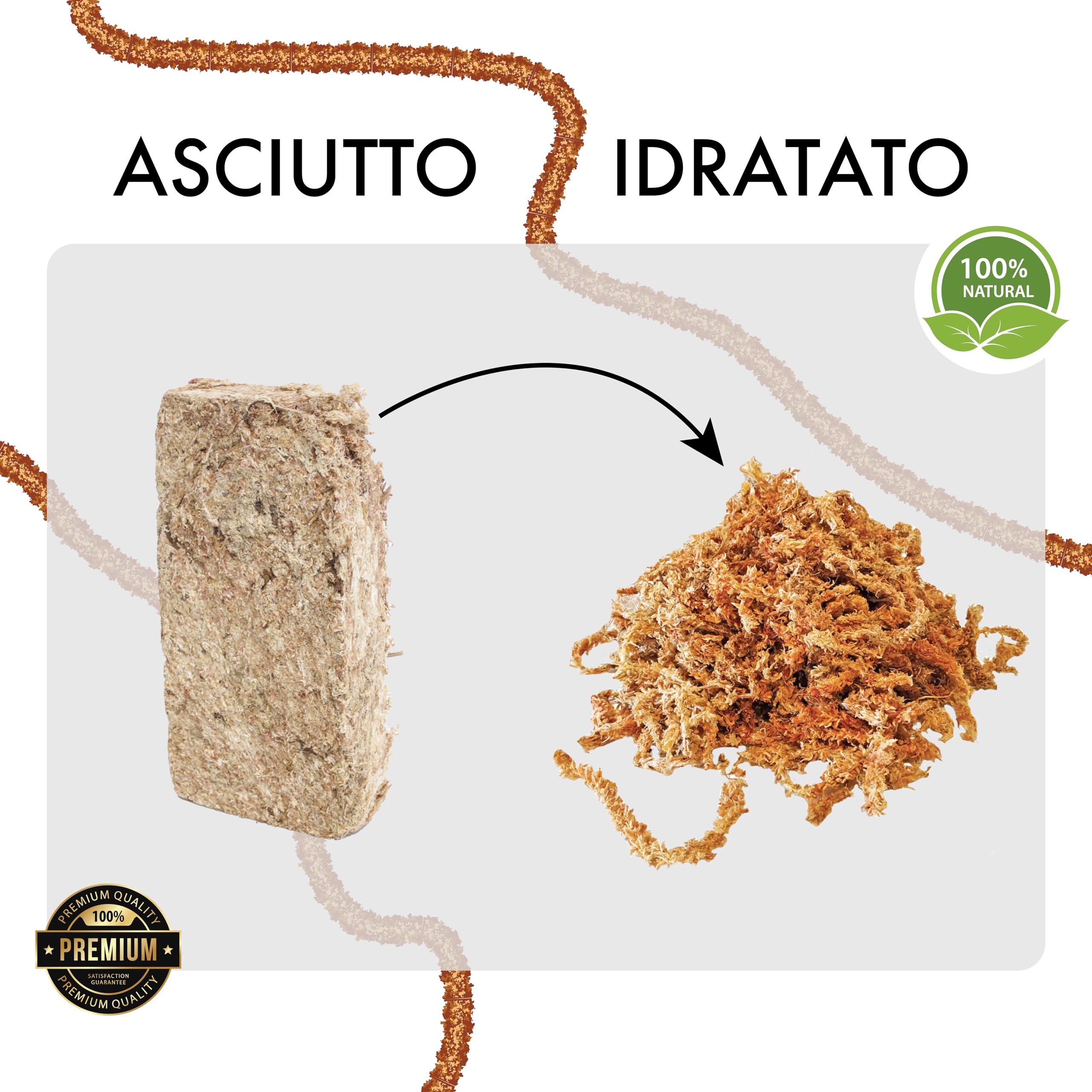 Sphaigne chilienne de première qualité 500g, entièrement Naturelle et biodégradable. Substrat idéal pour Les orchidées, Les bonsaïs et Les Jardins verticaux.