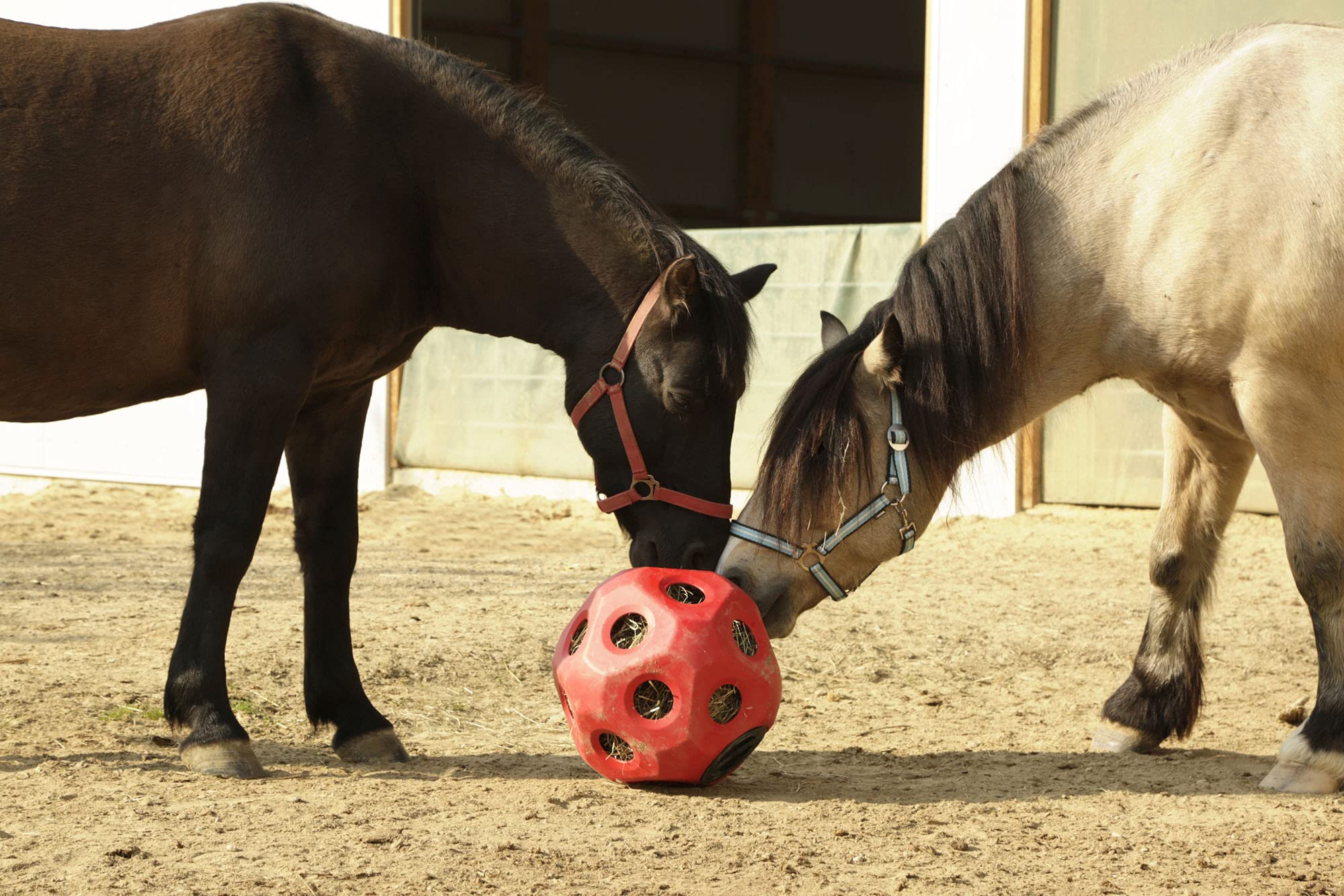 Kerbl - Balle de jeu HEUBOY 40 cm.