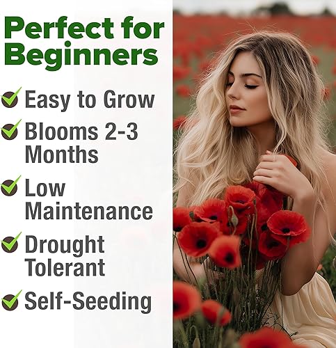 Miniatura 4 de HOME GROWN American Legion - Semillas de amapola roja, 6.000 semillas de flores silvestres vibrantes para plantar al aire libre, flores de amapola