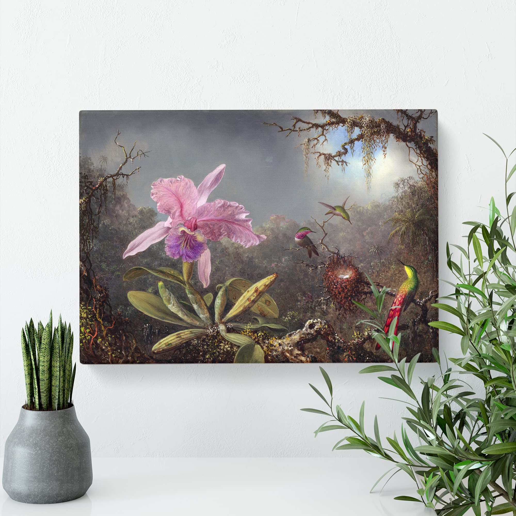 Cattleya Orchid And Hummingbirds By Martin Johnson Heade Canvas Print, Mixed, 25L x 50W cm - Image 2