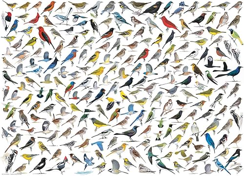 Miniatura 2 de EuroGraphics El mundo de los pájaros (1000 piezas) Puzzle