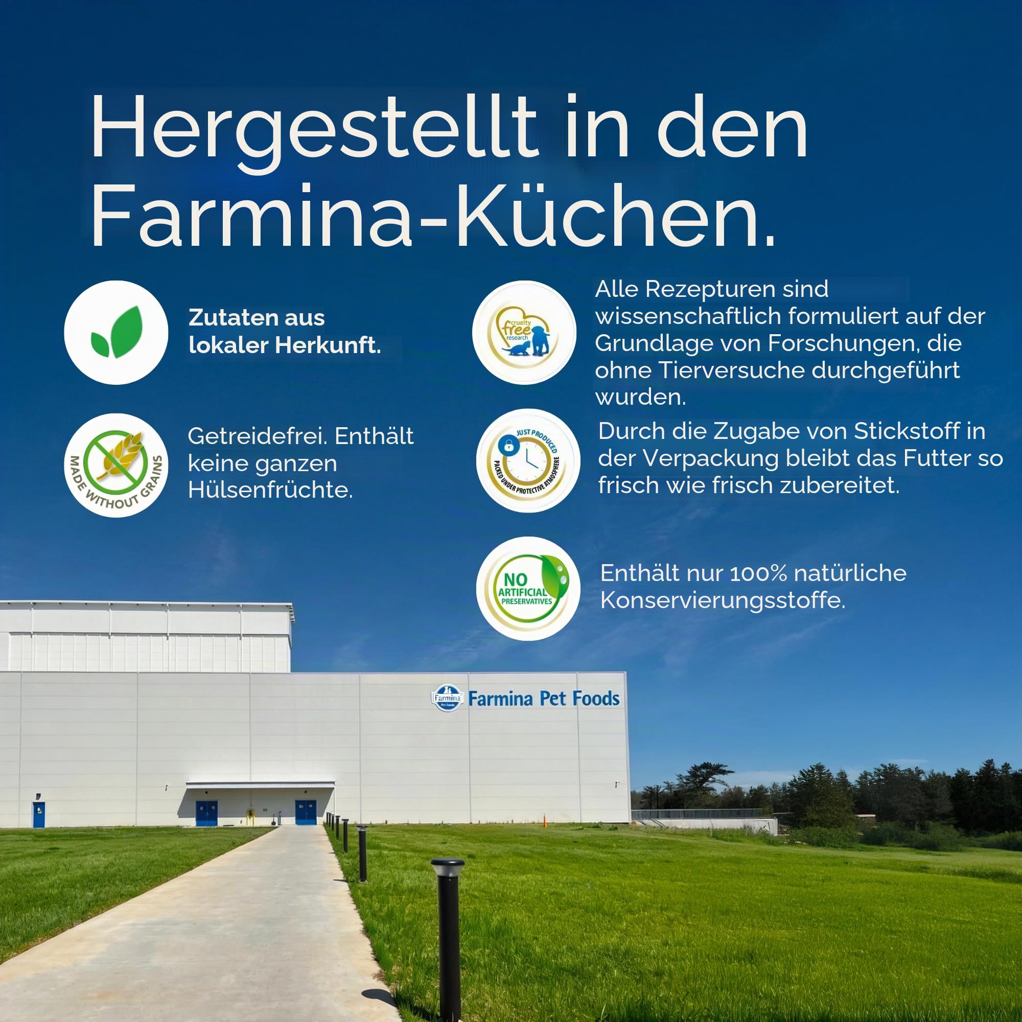 Farmina - NdGr.ainfree Kürbis - Huhn - MeloGr.ano kg 12 - M/M