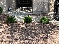 Review Image by Amazon Customer Amazon Customer