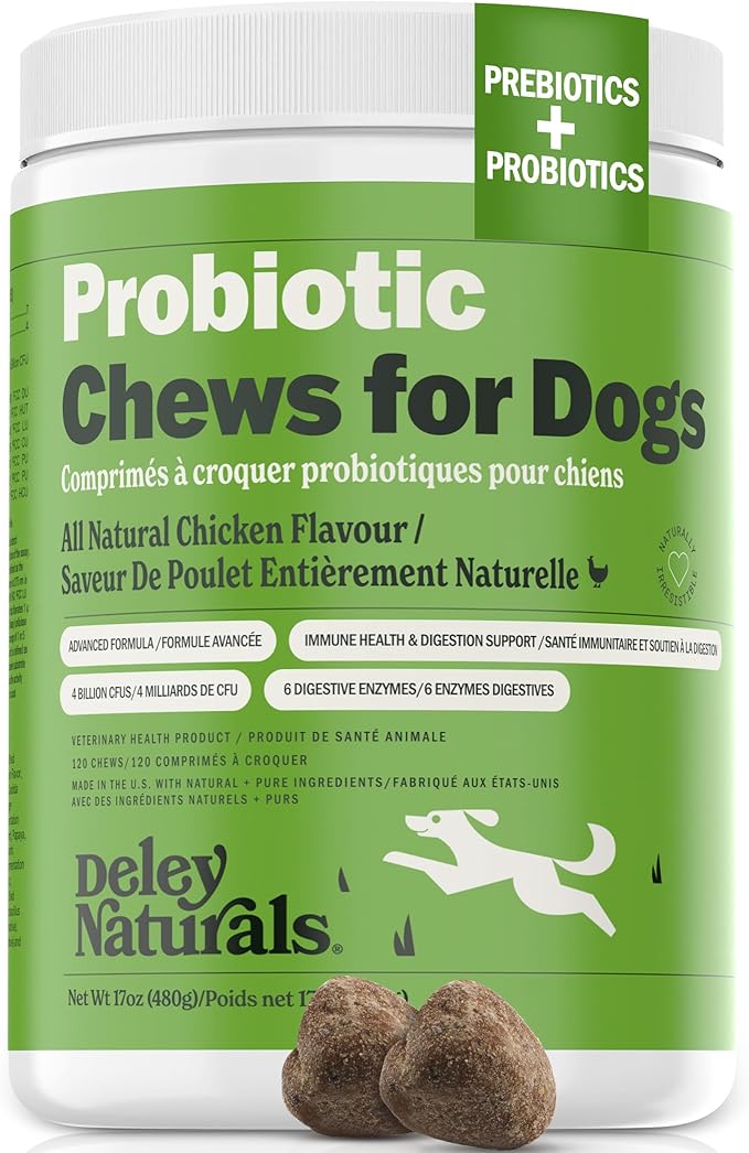 Deley Naturals Probiotics for Dogs - Dog Probiotics Chewable with 6 Digestive Enzymes & 4 Billion CFUs