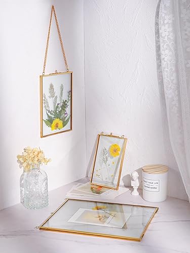 Miniatura 4 de Marco de flores prensadas para colgar de 4 x 6 pulgadas, marco de fotos flotante de doble vidrio hecho a mano, marco de vidrio para flores