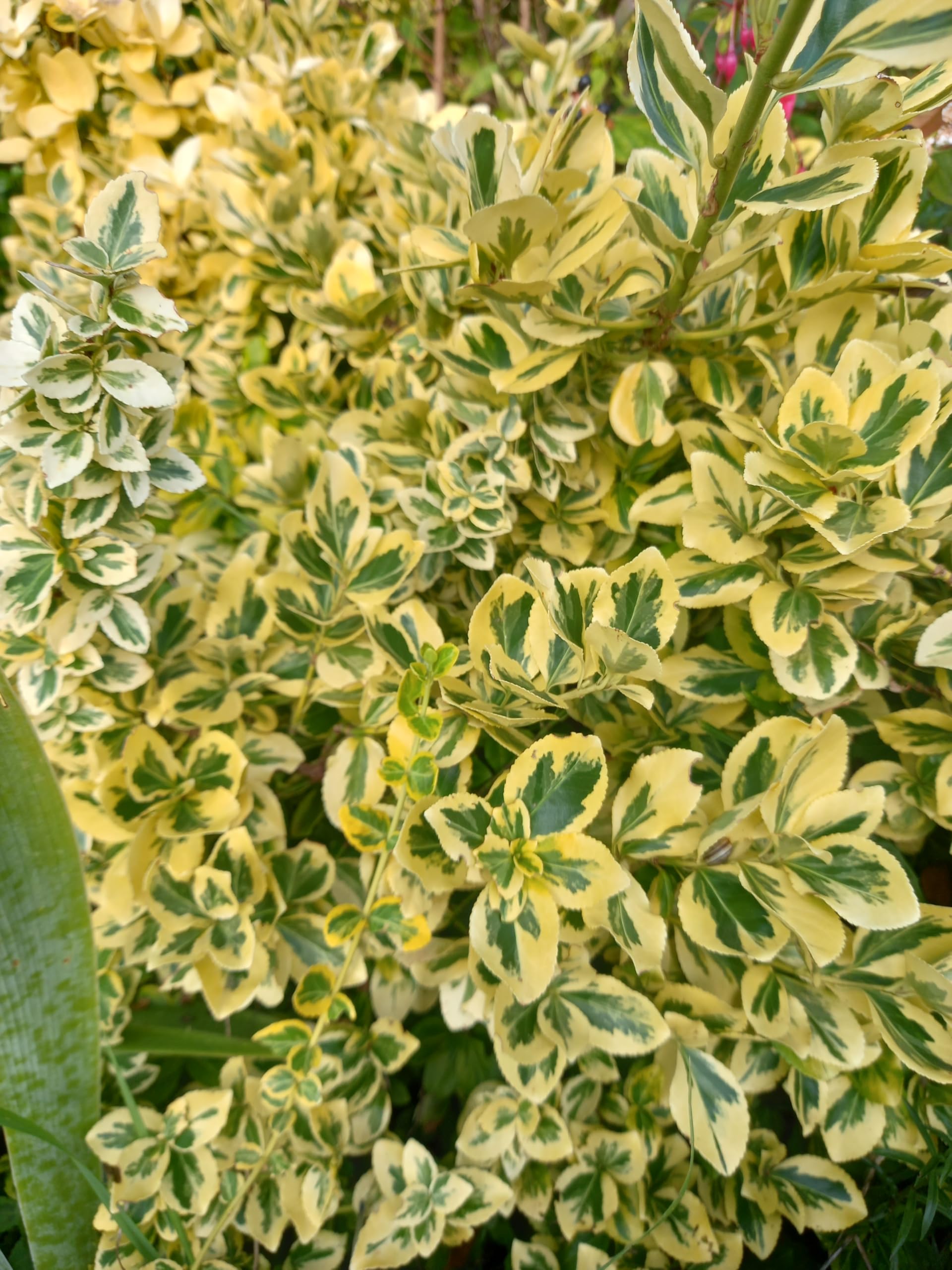 View 3