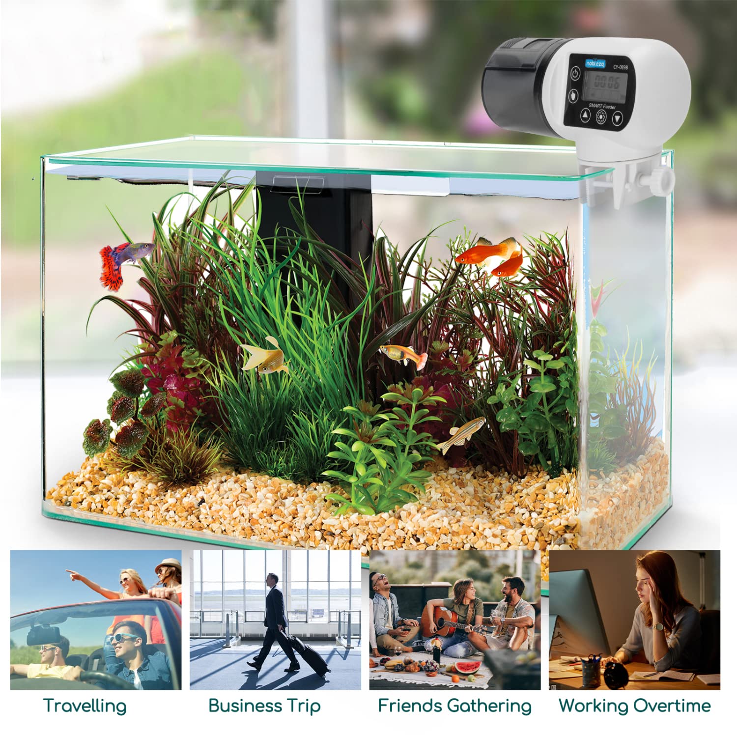 Nobleza Mangiatoia Automatica per Pesci 200mL Programmabile LCD per Acquario Tartarughe