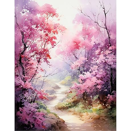 Didfig Easy DIY Paint by Numbers Kit for Adults Beginner Canvas