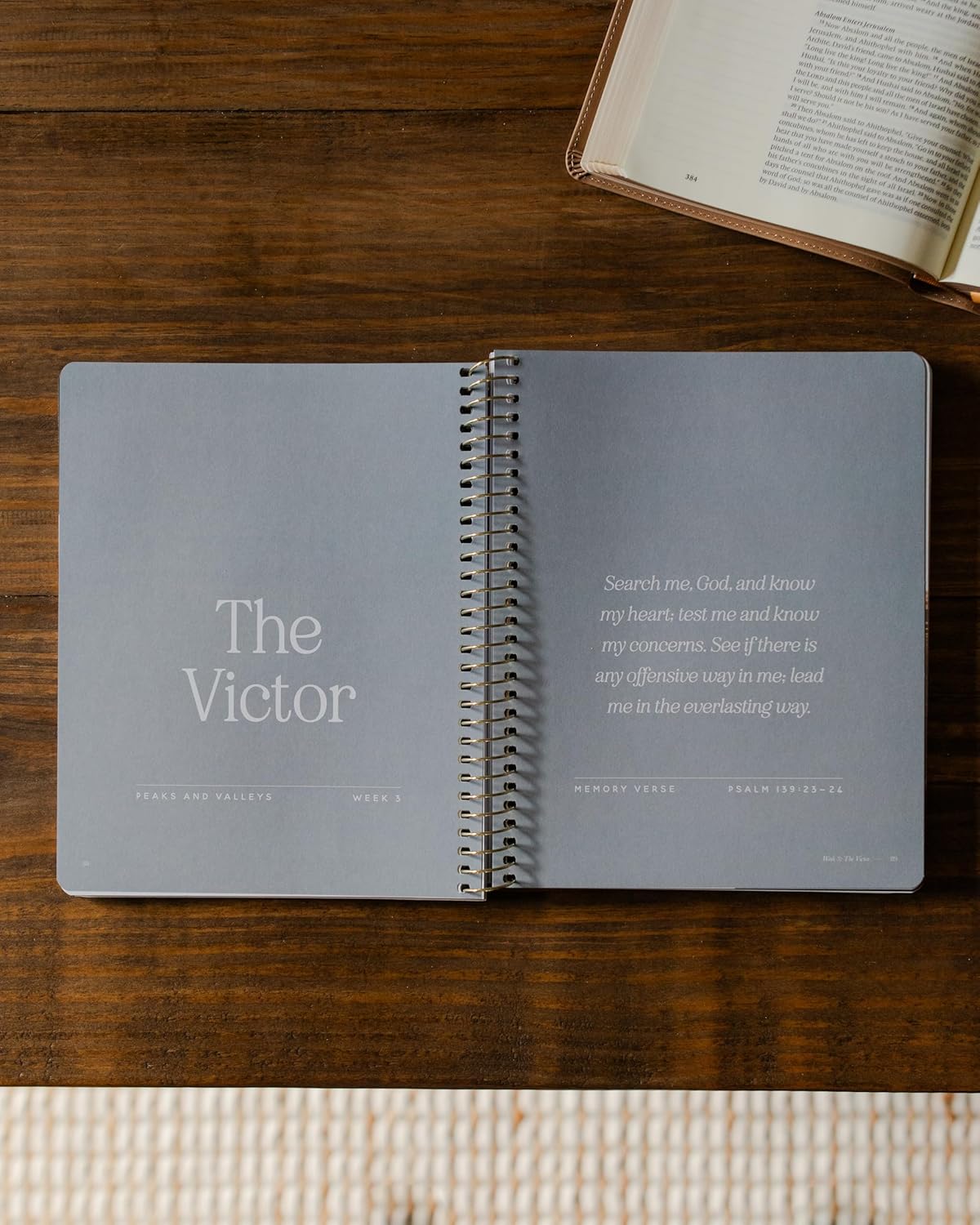 Peaks and Valleys: Learning to Look to Christ in Life's Highs and Lows | A Study on the Life of David - Men - Image 7