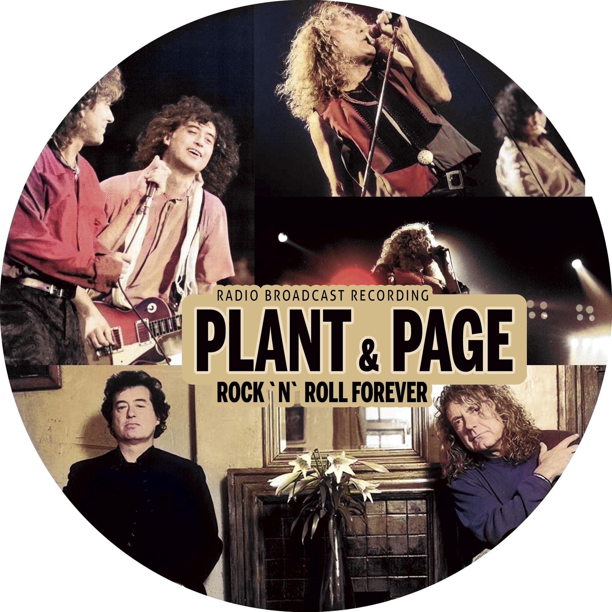Rock`n`roll Forever / Radio Broadcasts [VINYL]
