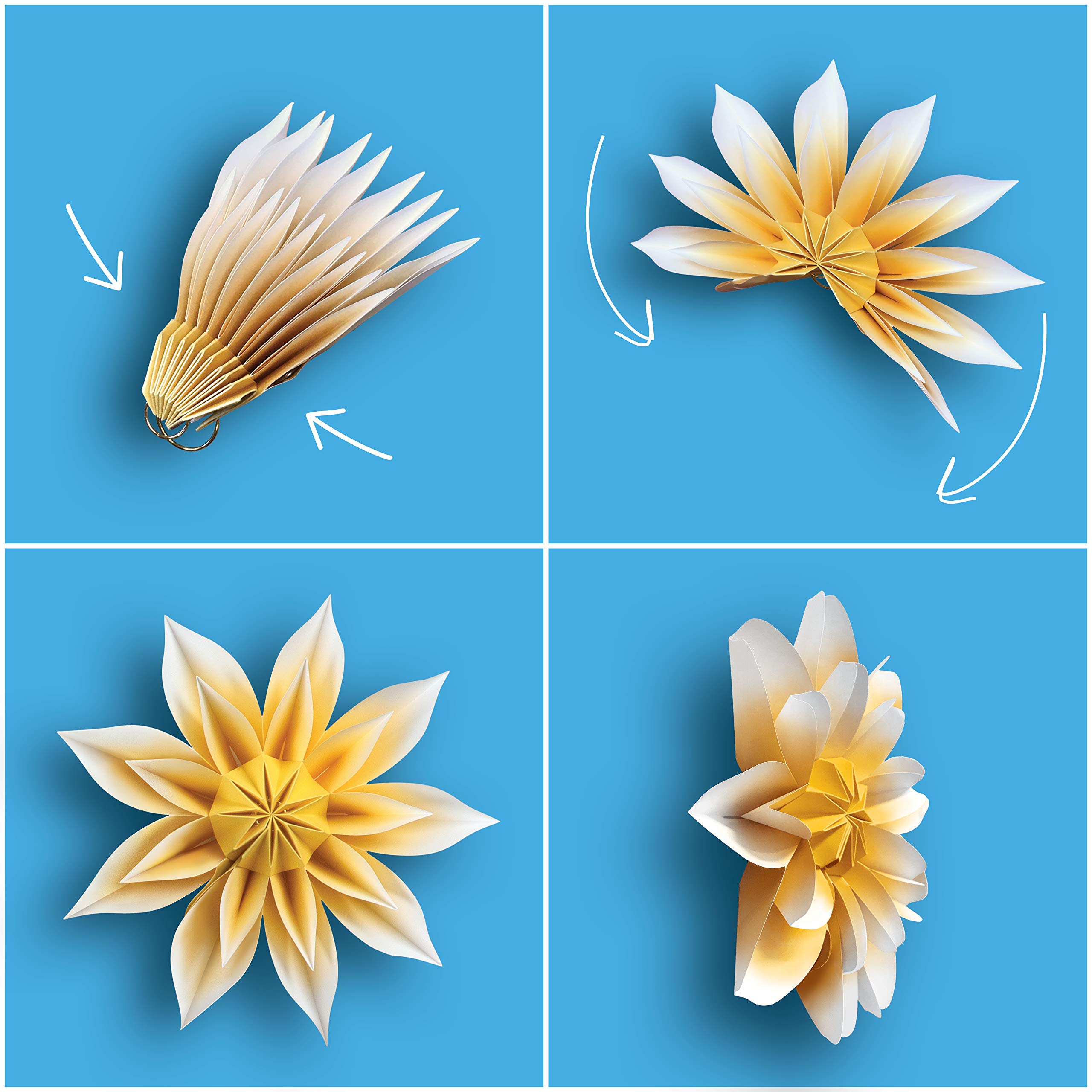 Teacher Created Resources Floral Sunshine Papierblumen, 4 Stück