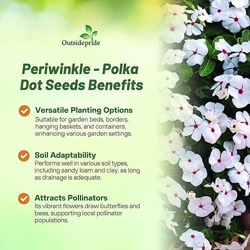 Miniatura 3 de Outsidepride Cascade Polka Dot - Semillas de bígaro para plantar, 25 unidades, anuales, de floración rápida, tolerantes al calor y a la sequía, con