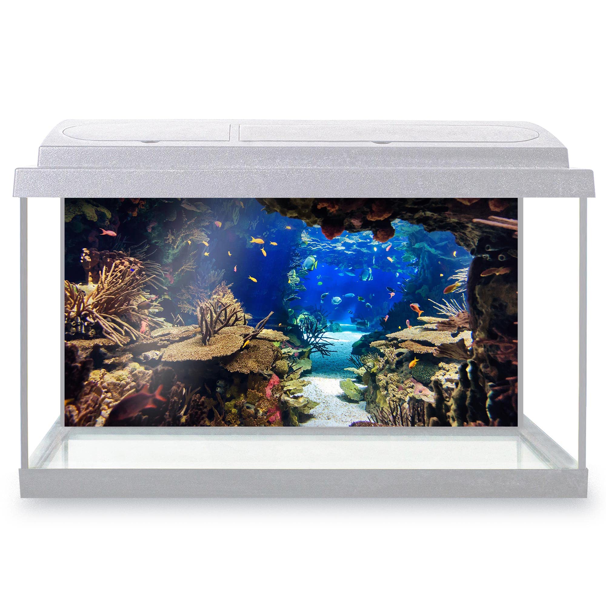 DV DESIGN Aquarium Fish Tank Background 110x55 cm - Aquarium Plants Tropical Colorful Fishes Coral Reef Underwater Deep Sea Animal Static Cling Vinyl Vivarium Terrarium External Application #500003