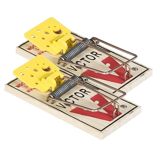 PROTECT HOME Mausefalle Classic, Holz, Klassische Schlagfalle mit hoher Schlagkraft, 2 Stück