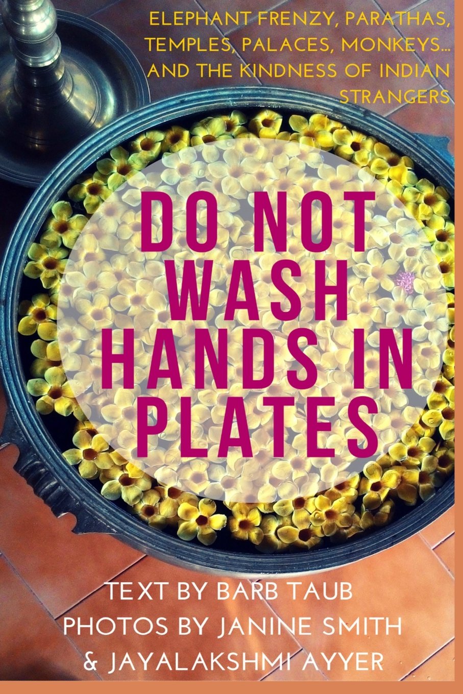 Do Not Wash Hands In Plates: Elephant Frenzy, Parathas, Temples, Palaces, Monkeys, and the Kindness of Indian Strangers