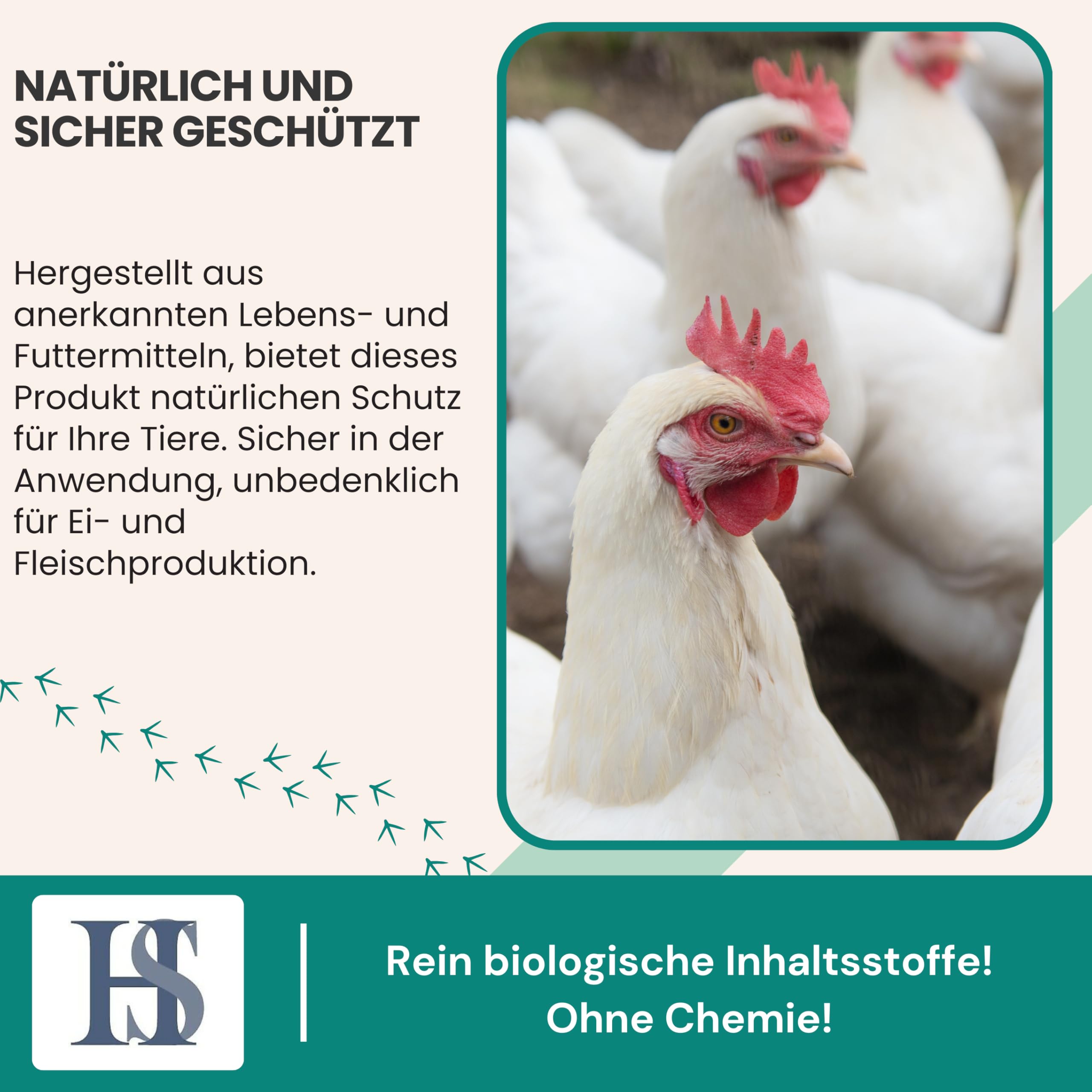 HS Spot on Bird – Pflegemittel für Vögel und Geflügel zur Vorbeugung gegen rote Vogelmilben, nordische Geflügelmilben, Federlinge, Kalkbeine etc. – 100 ml