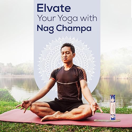 Miniatura 9 de Satya Sai Baba Nagchampa Insence - Paquete de 8.82 oz con soporte para varillas de incienso Raajsee, Insense Sticks Nag Champa Agarbatti