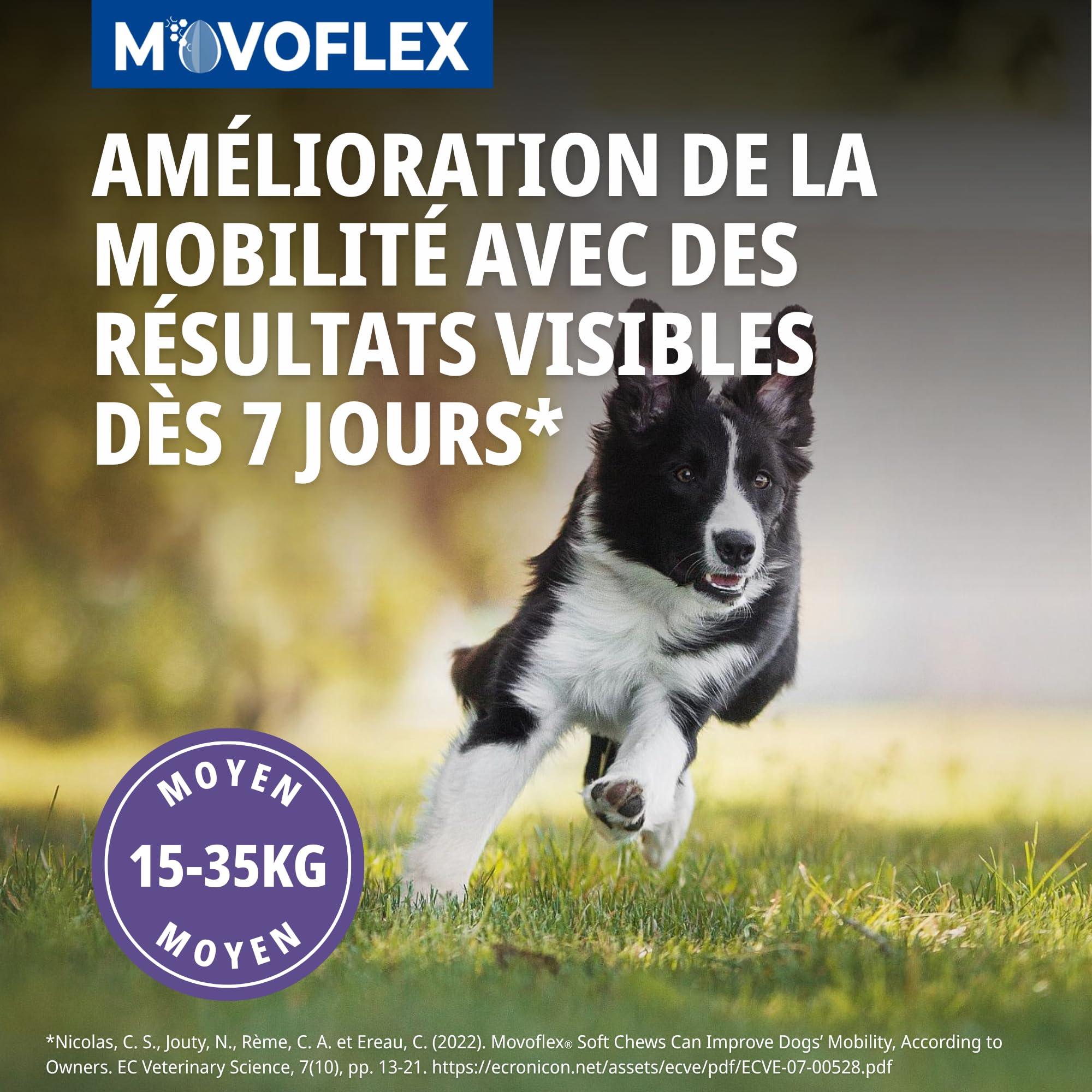 Movoflex Soft Chews | 30 pezzi | Per cani di oltre 35 kg | Alimento complementare per la salute delle articolazioni | Per mantenere le strutture articolari | Con acido ialuronico