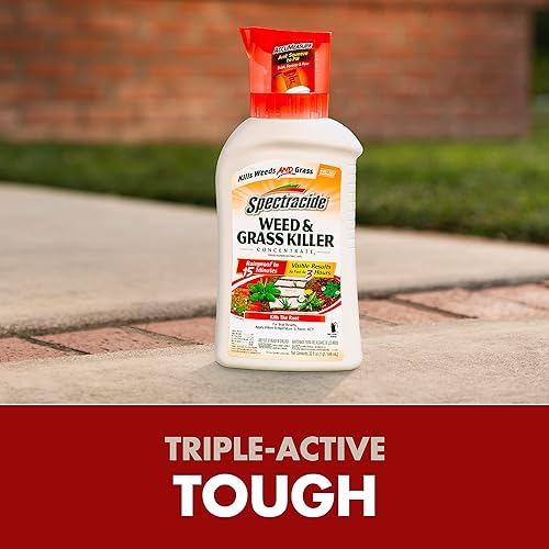 Miniatura 3 de Spectracide Concentrado para matar malas hierbas y hierbas, 32 onzas, con sistema Accumeasure (caja de 6)
