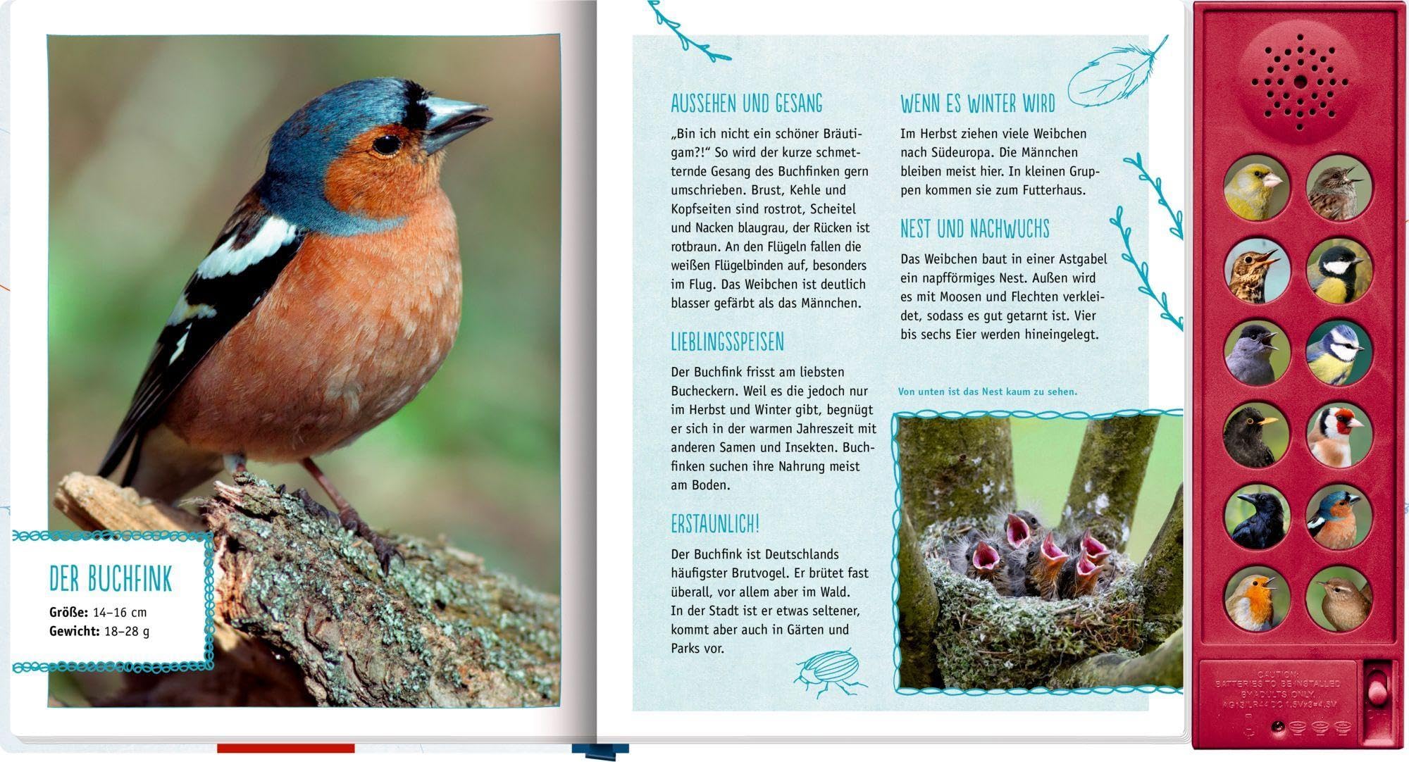 Vögel in unserem Garten: Mit 12 echten Vogelstimmen: Soundbuch mit echten Vogelstimmen zum Entdecken und Staunen für Kinder ab 5 Jahren