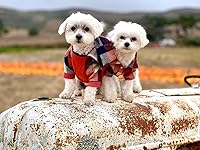 Vista 3 de Fitwarm - Chaleco de algodón para perros y gatos, diseño a cuadros con capucha (naranja, XS)