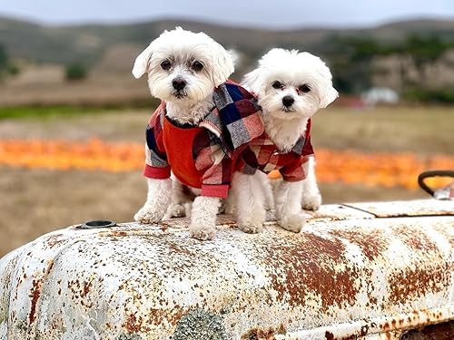 Miniatura 2 de Fitwarm - Chaleco de algodón para perros y gatos, diseño a cuadros con capucha (naranja, XS)