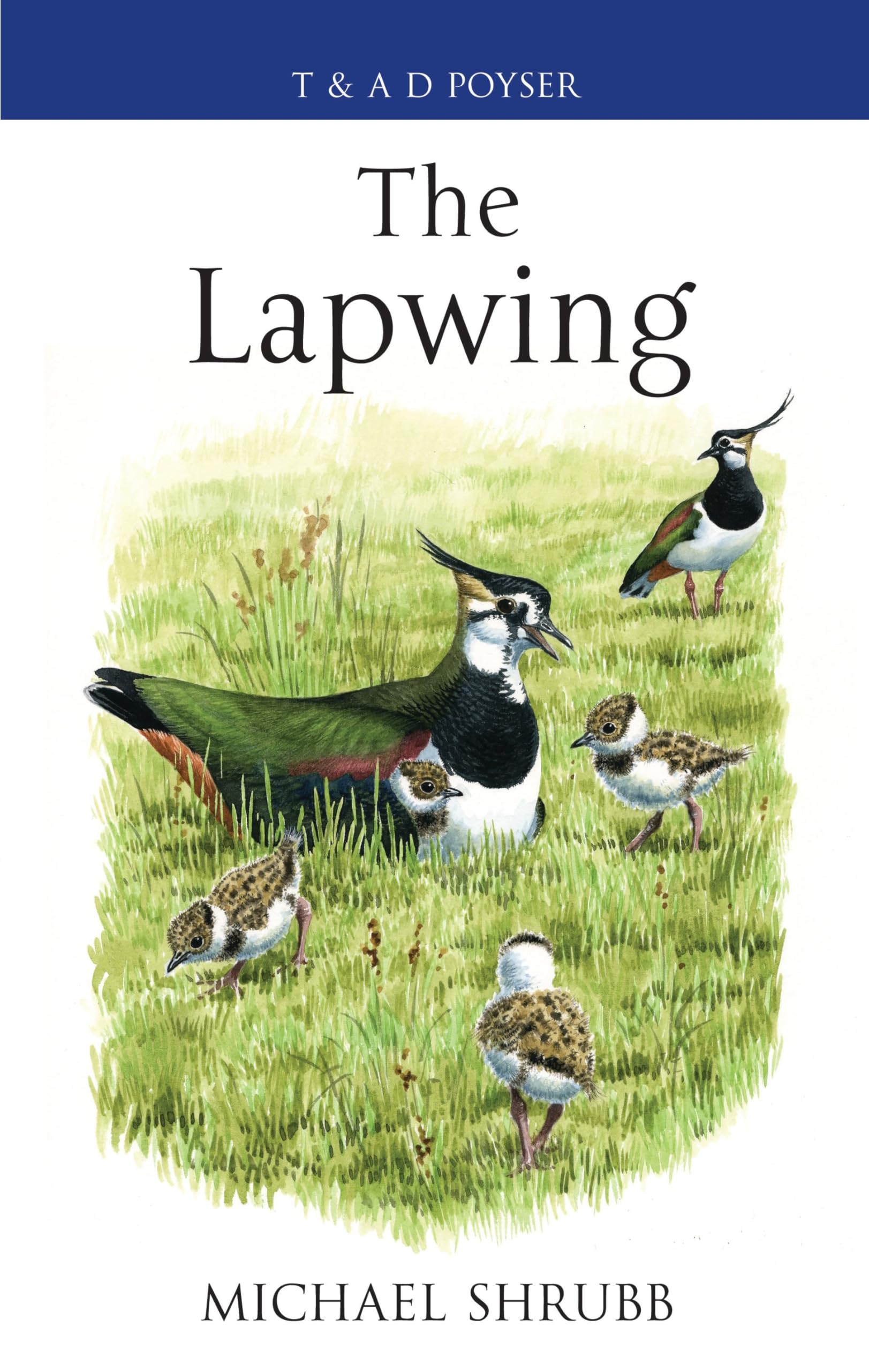 Buy The Lapwing — BookShops.in