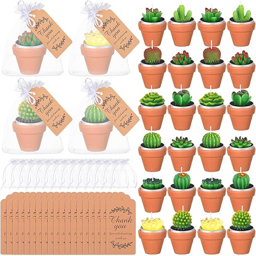 Juego de 24 velas de cactus suculentos con mini soportes de arcilla de terracota, tarjetas de agradecimiento y bolsas de organza para regalos de