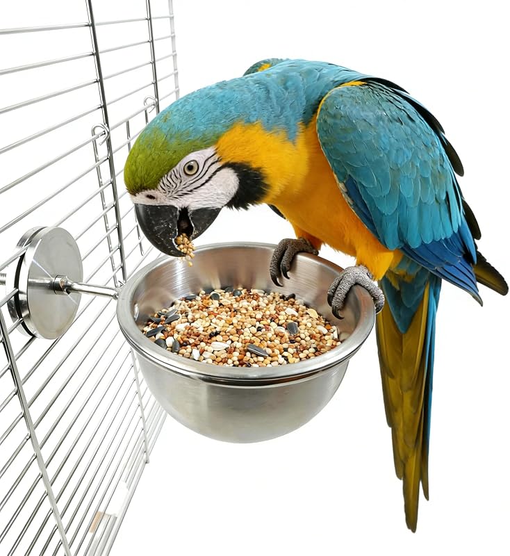 Comedouro para Aves AOTU em Aço Inoxidável 304 com Trava Antitombo (L)
