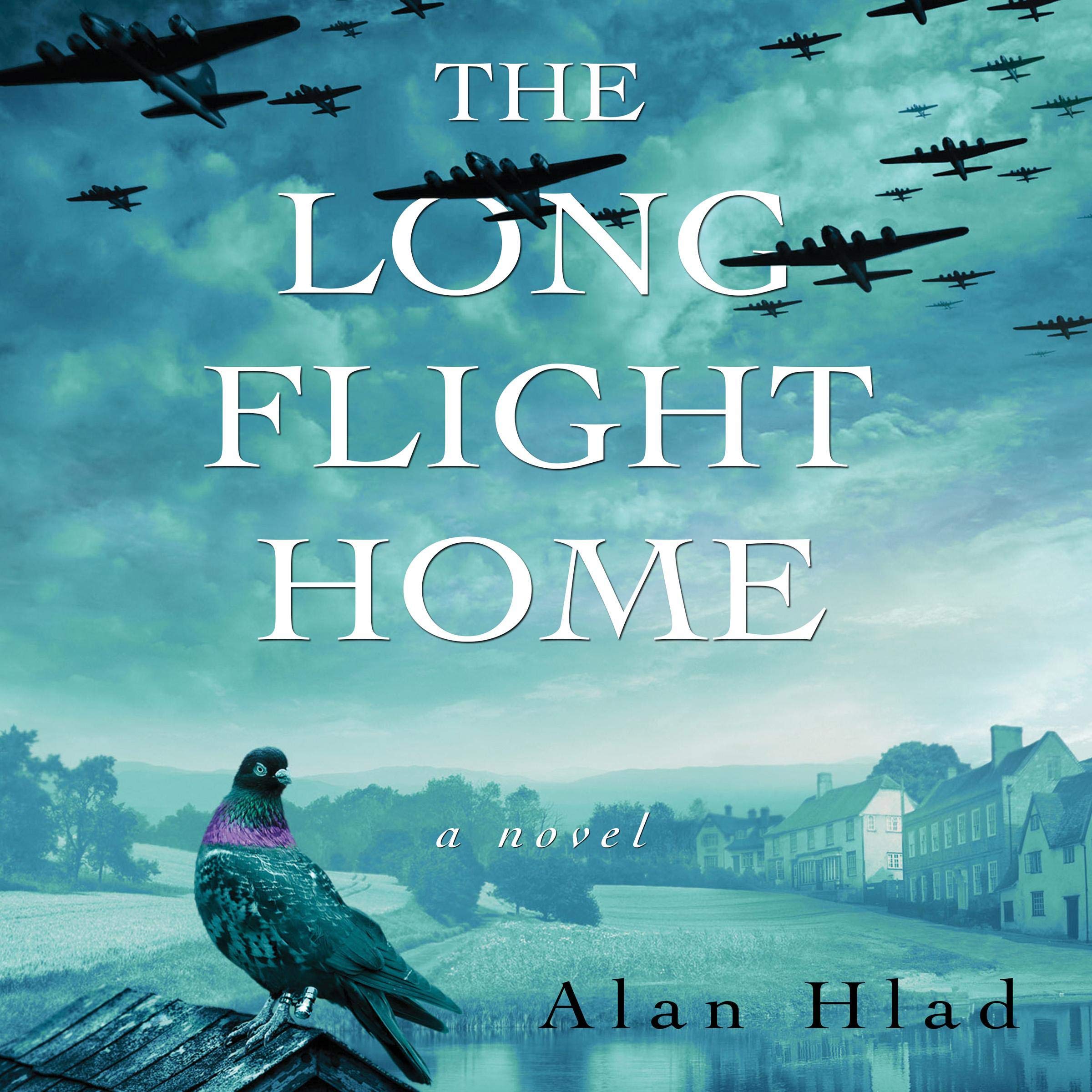 Cover art for The Long Flight Home