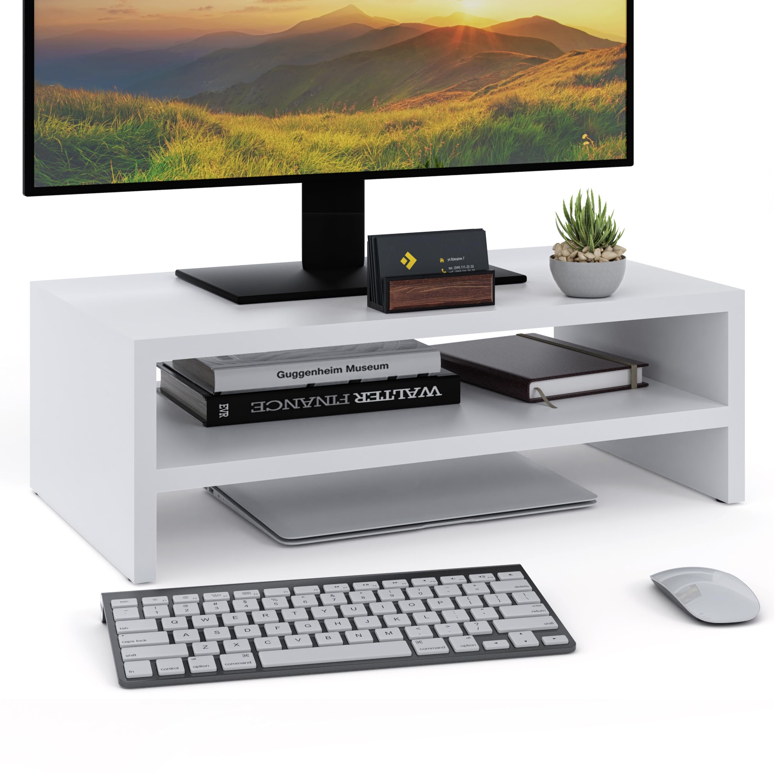 Monitor Stand, Monitor Riser, Laptop Stand, Computer Stand, Printer Stand with Storage Shelf, Ideal for Your Home Office, White