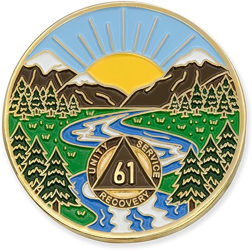 Miniatura 52 de 6 meses Sobriety Mint Winding River Gold Plated AA Recovery Medallón/Chip/Token