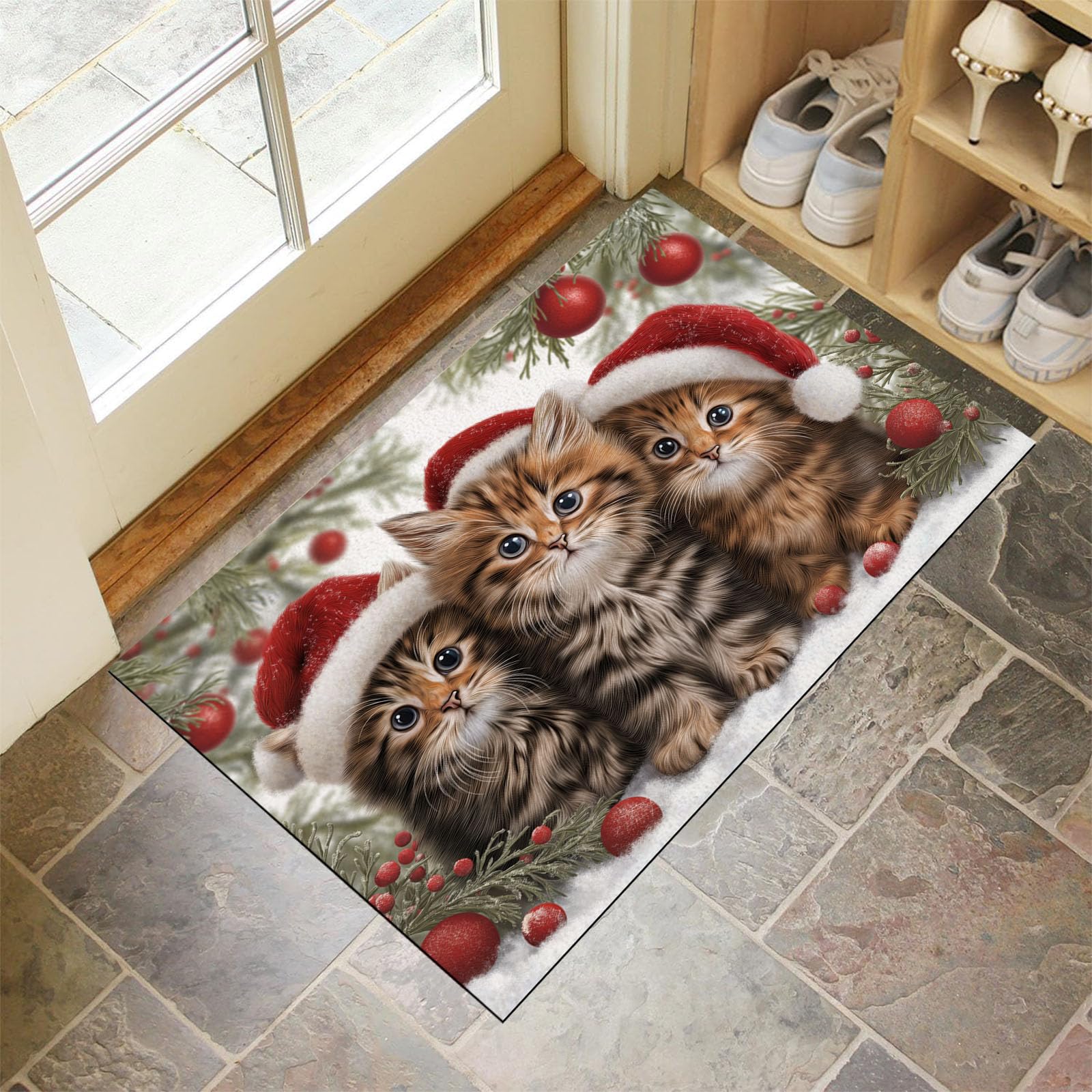 Tapis d'entrée animaux acceptés brun foncé pour maison propre