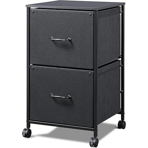 DEVAISE 2 Drawer Mobile File Cabinet, Rolling Printer Stand, Fabric Vertical Filing Cabinet fits A4 or Letter Size for Home Office, Black