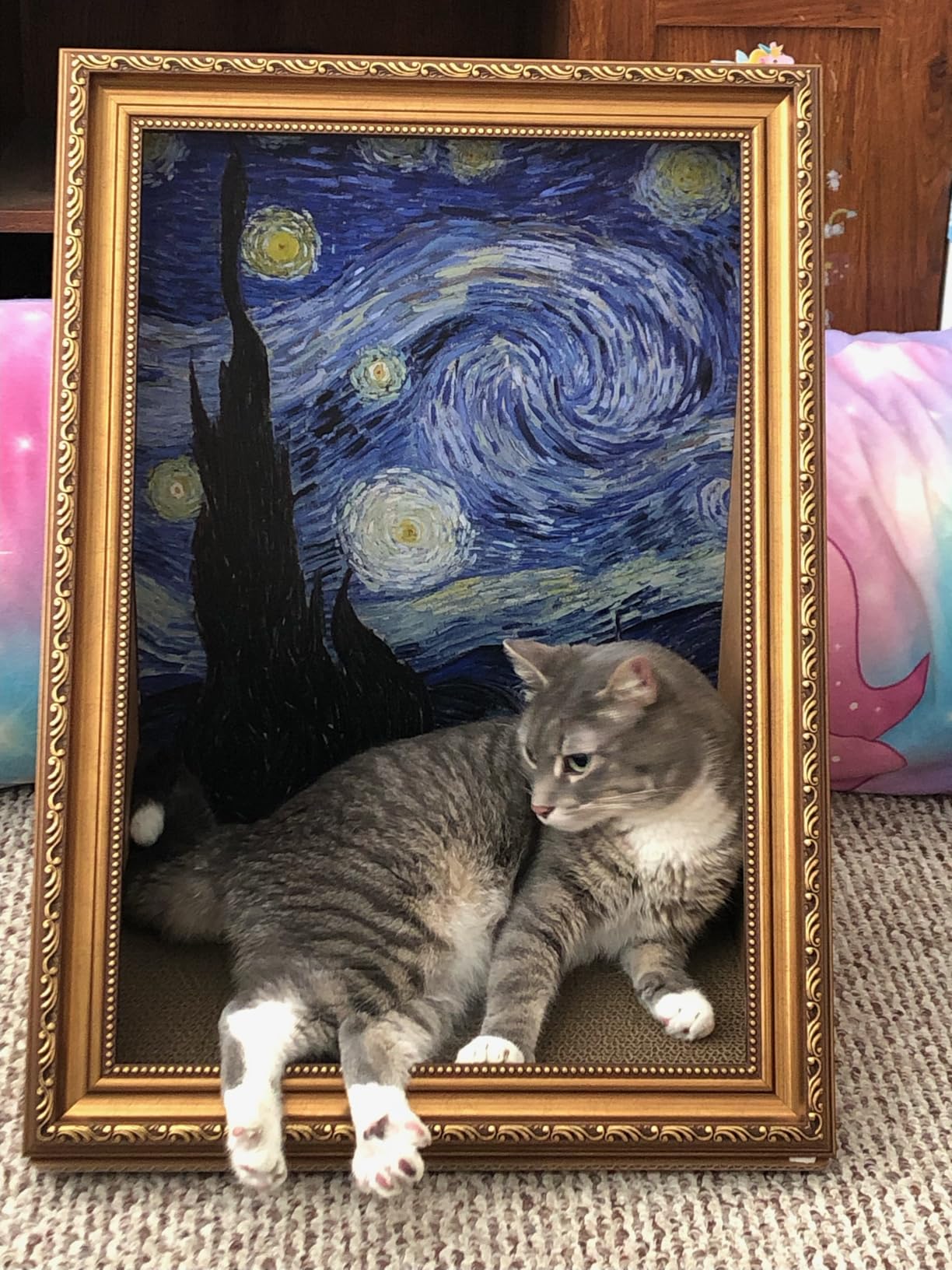 Mona Lisa oil painting cat bed replaceable oil painting cat scratch board photo frame three-dimensional effect creative cat bed photo review