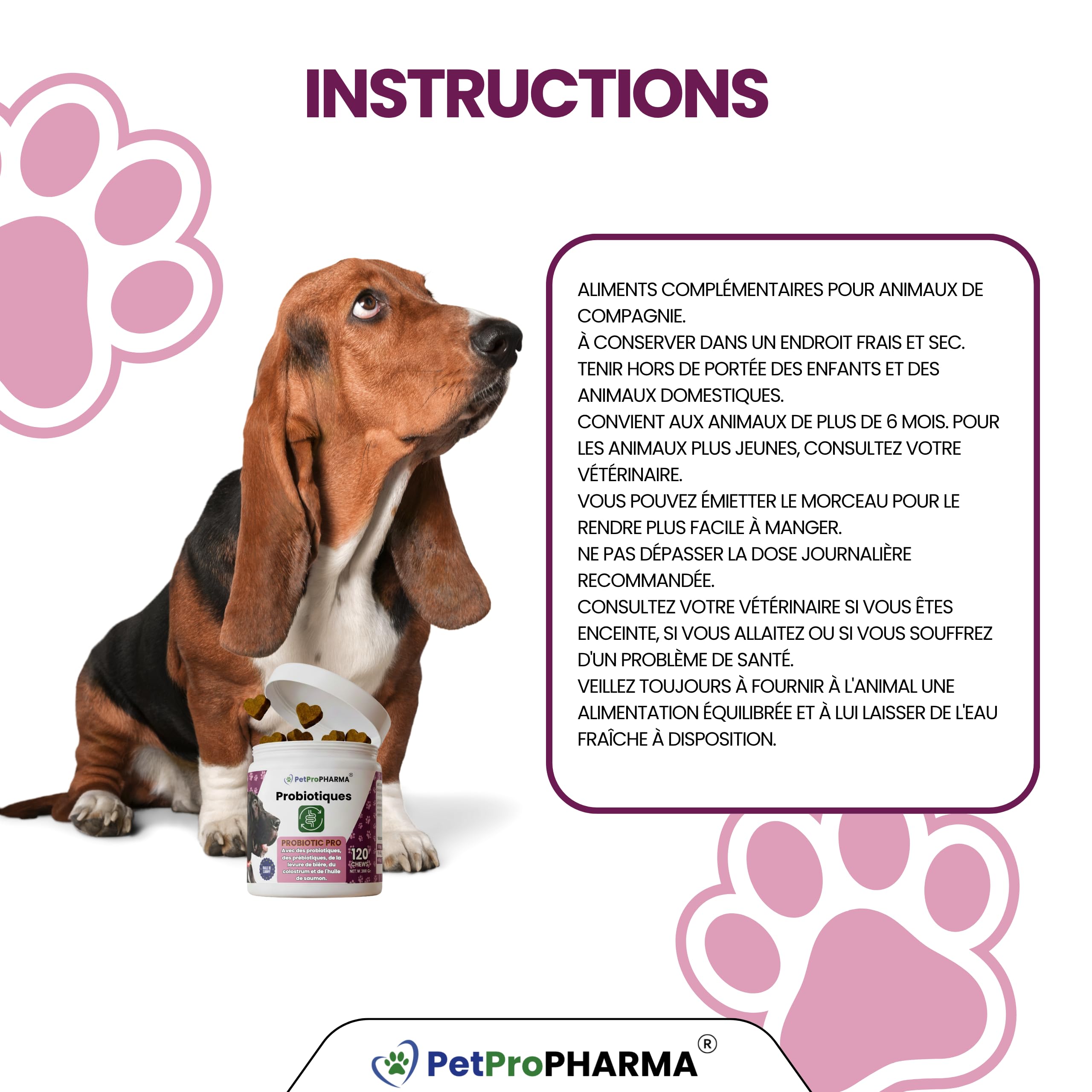 Probiotique Chien et Chat – Souches Actives + Prébiotiques Naturels | Flore Intestinale, Digestion, Selles Régulières, Immunité Renforcée | Complément Digestion & Santé Intestinale