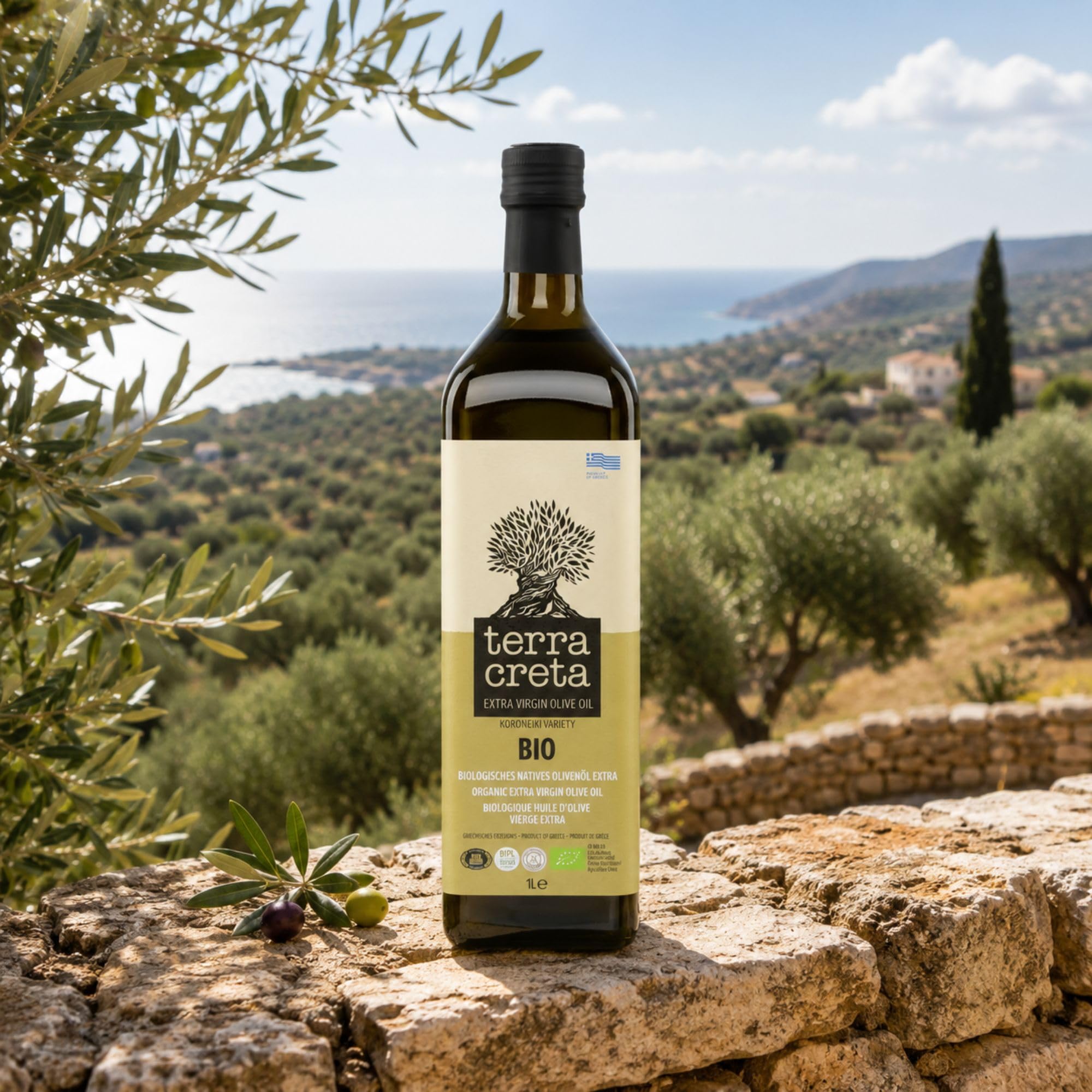 Terra Creta BIO Olivenöl 3x 1,0l | Extra natives Bio Olivenöl von Kreta| Kaltgepresst & naturbelassen | GR-BIO-03 zertifiziert | Niedriger Säuregehalt | + 20ml Jassas Olivenöl
