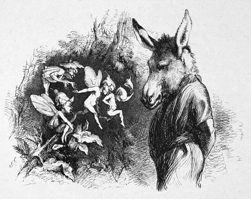 A Midsummer S Night Dream Donkey Head
