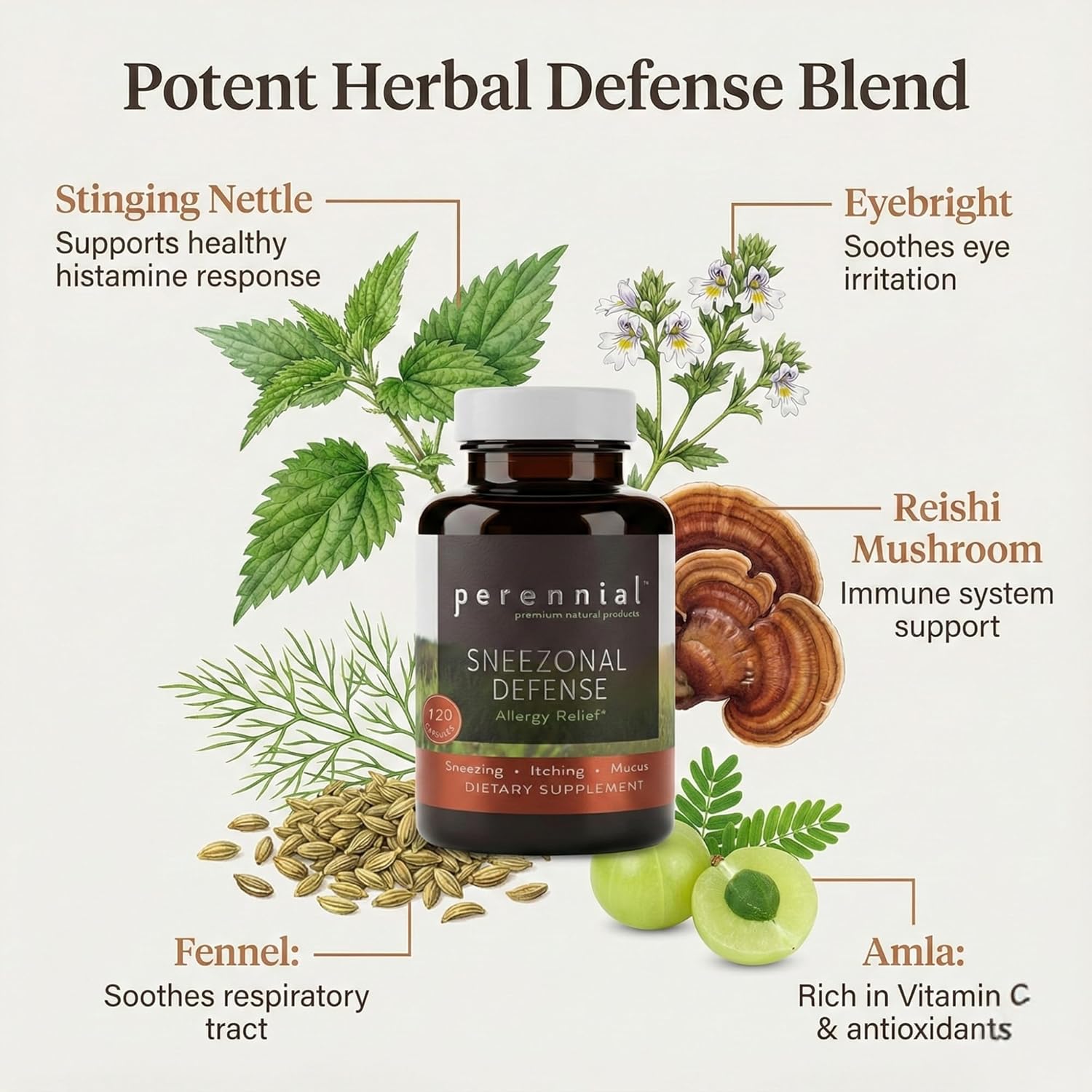 Sneezonal Defense Allergy Relief Formula – Natural Herbal Supplement for Seasonal Allergy Support and Immune Health – 120 Vegetarian Capsules, Non-GMO, Gluten-Free