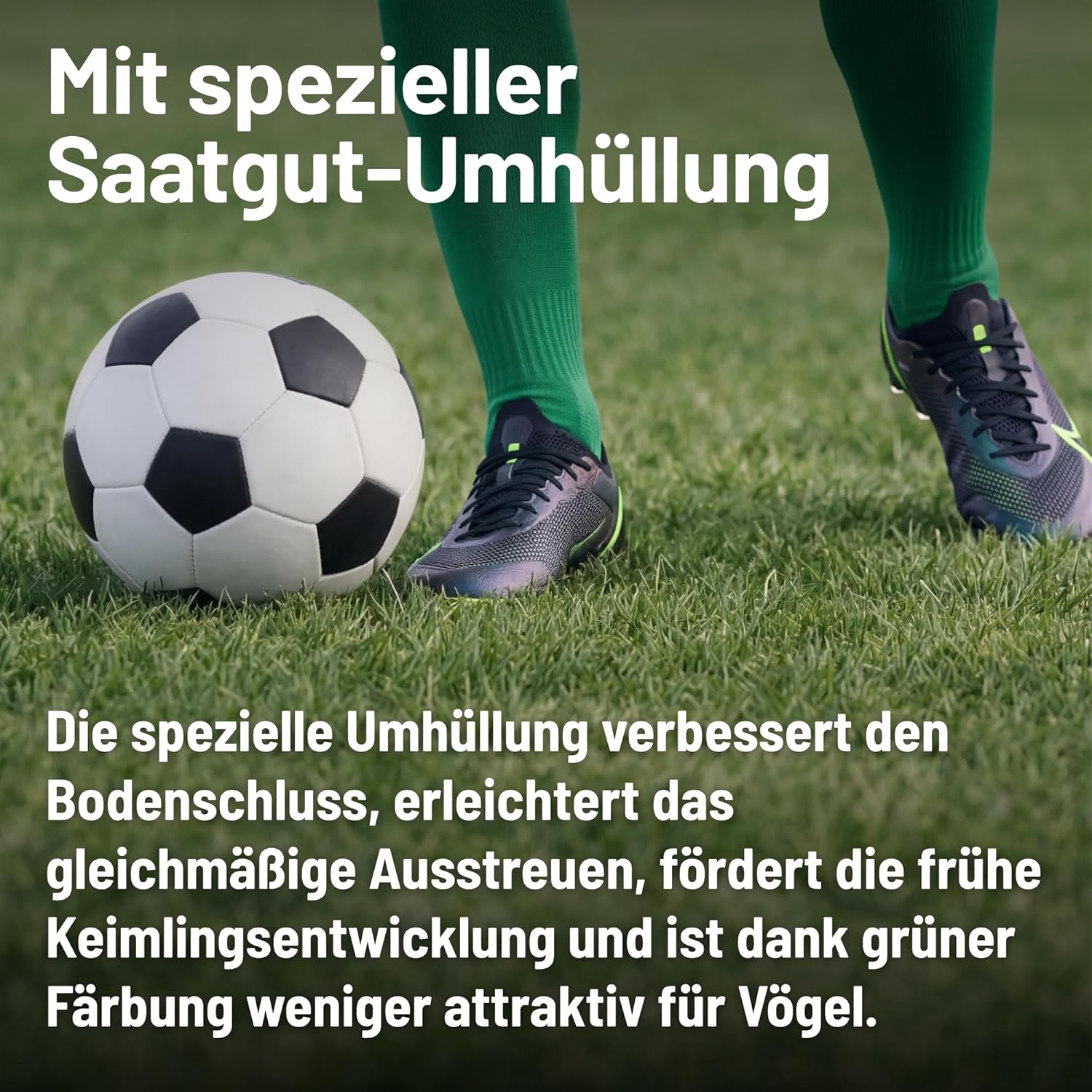 Substral Lawn Seeds Sport and Game, Durable Lawn Seed Mix with Green Colour Against Bird Eating, 5 kg, 250 m²