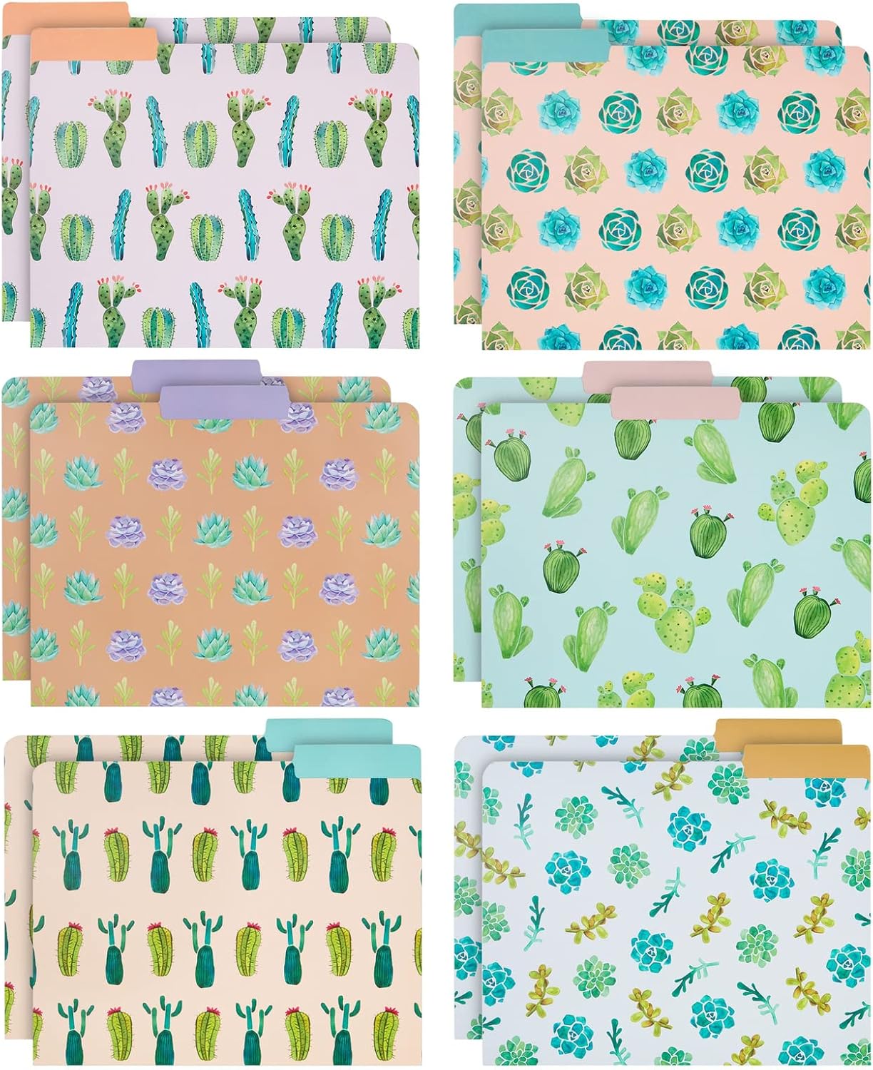 Best Paper Greetings 12 Pack Decorative Succulent 3 Tab File Folders, Letter Size, 1/3 Cut Tabs, 6 Cactus Designs (9.5 x 11.5 in)