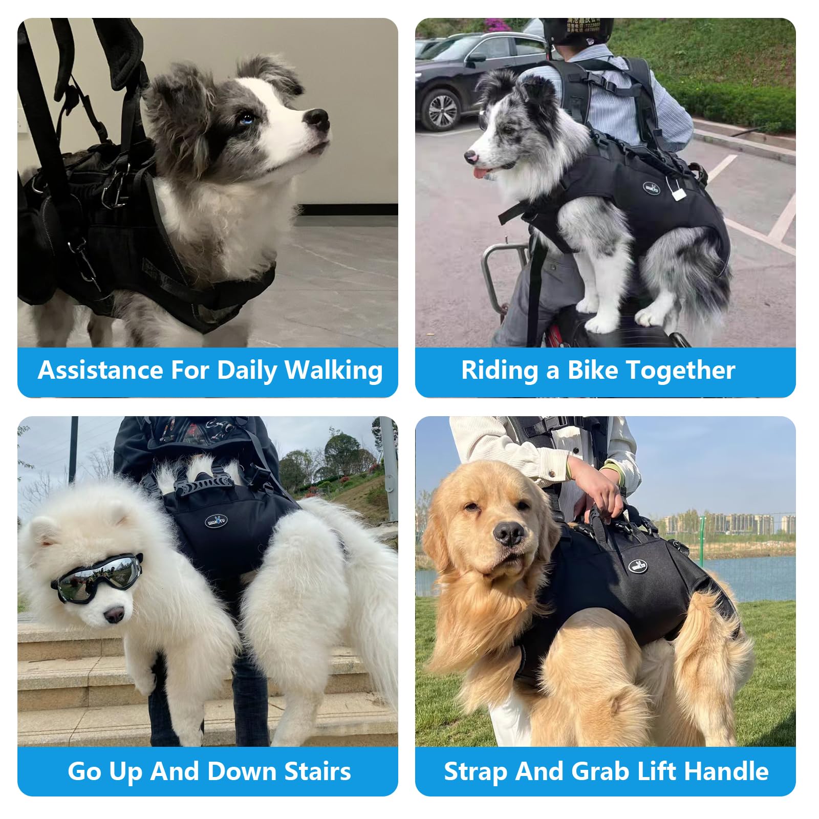 Harnais de Levage pour Chien, Sangle de Soutien et de rééducation, Sangles réglables rembourrées et Respirantes pour Chiens, handicapés, blessures articulaires, arthrite, Perte de stabilité pour