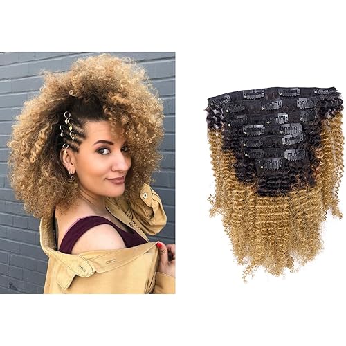 Anrosa Kinkys Curly Clip in Hair Extensions Human Hair 3C 4A Afro Kinky Curly Clip ins Natural Hair Real Remy Thick Human Hair Extensions for Black Women (14 inch, Ombre #1B/27)