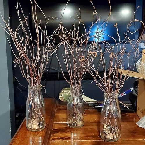 Miniatura 6 de SHUESS 120 ramas de abedul seco natural, ramas de 16 pulgadas, plantas decorativas de abedul para jarrones, decoración artesanal de abedul para