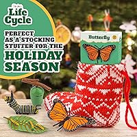 Vista 3 de Kit de ciclo vital Montessori - Juguetes de figuras realistas, juego de animales a juego con mariposa y Catterpilar, rellenos de cesta de Pascua