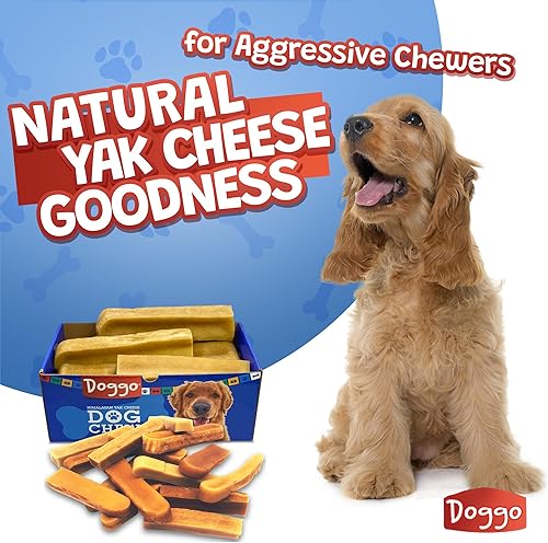 Miniatura 14 de Masticables prémium de queso de yak para perros del Himalaya - Masticables naturales de yak para perros grandes y pequeños - Masticables de leche
