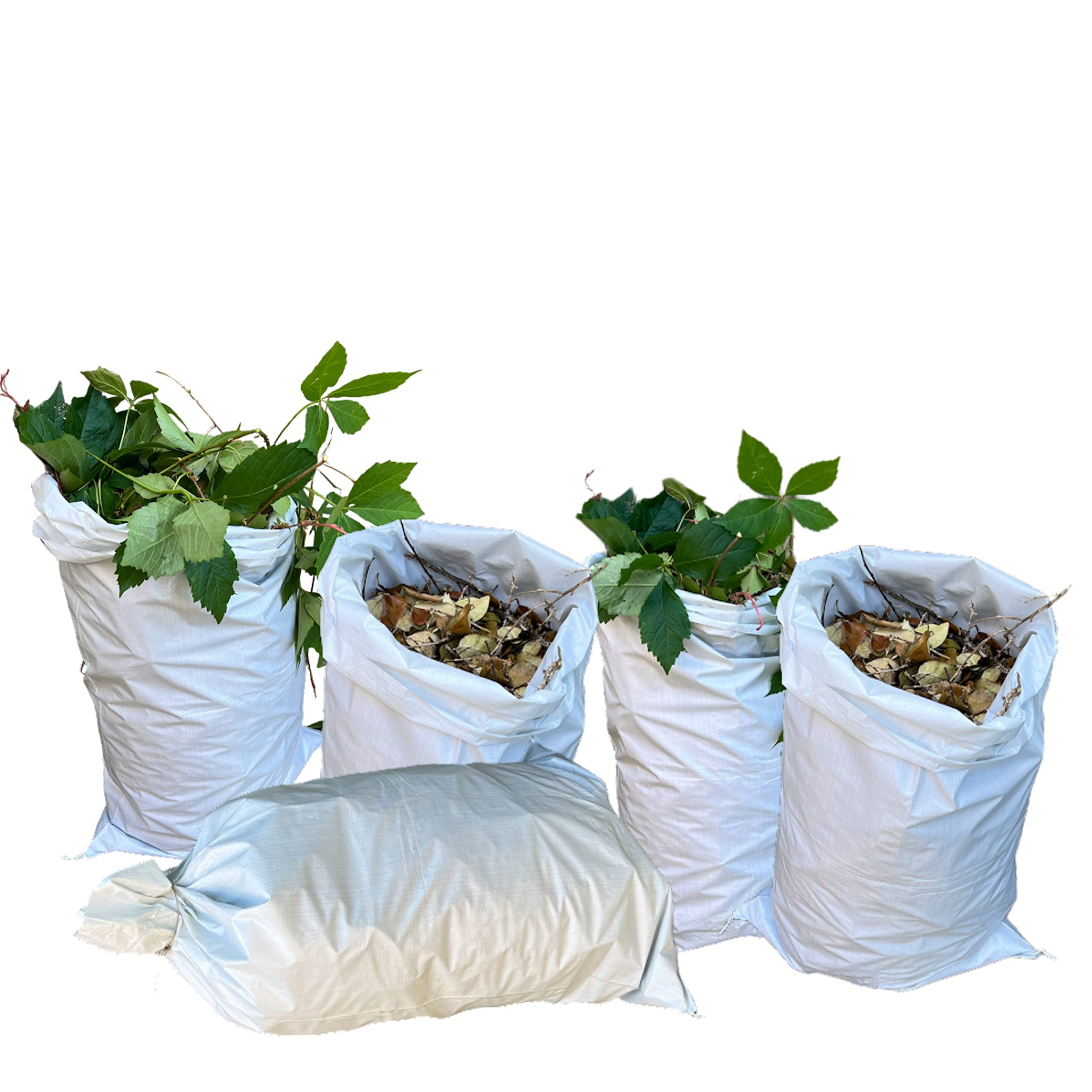 Lot de 50 sacs à gravats, sacs de sable, sacs à déchets de jardin, sacs tissés alternatifs aux pommes de terre et légumes, sacs de culture en polypropylène (50 sacs XL (60 x 100 cm)